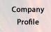 Company Profile